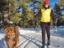 tahoe-xc-dog-friendly