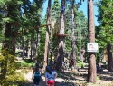 Treetop Adventure Park