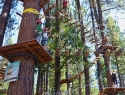 Treetop Adventure Park