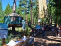 Treetop Adventure Park