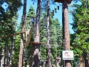 Treetop Adventure Park