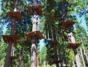 Treetop Adventure Park