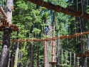 Treetop Adventure Park