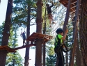 Treetop Adventure Park