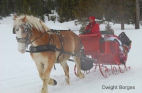 North Lake Tahoe Sleigh Rides