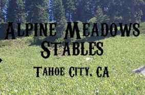 logo alpine meadows stables